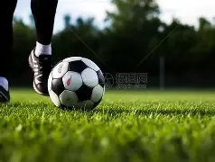 排球,李盈莹焦点,聚集,亚博体育,亚博体育官网,亚博体育app,亚博体育下载