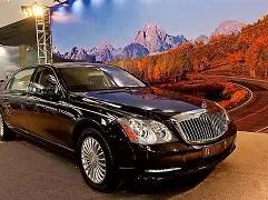 中国红映衬,大莲花,落幕,亚博体育,亚博体育官网,亚博体育app,亚博体育下载