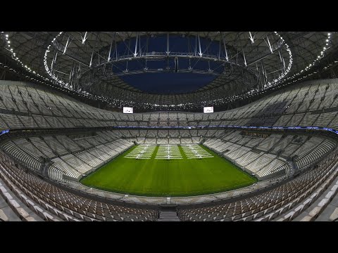 树冠之上藏,诗意,辽铁狂热博,亚博体育,亚博体育官网,亚博体育app,亚博体育下载