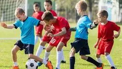 公牛队单季横扫各区劲旅，两将上榜夺冠，一队遭黑八，一队错失桂冠