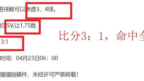 “逆境求胜：李盈莹缺阵半决赛，天津队需轻装上阵奋力一搏！”